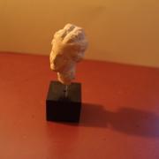 Tête de femme greco-romaine terre cuite, Tarente, Italie (2 à 3 cm)